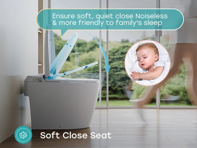 12-Inch Rough-In Bidet Toilet with Non-Electric Seat – Model T30