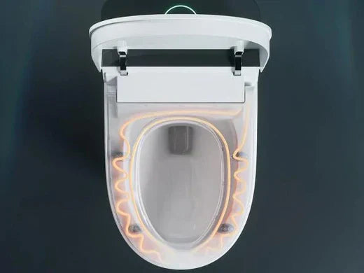 What do Gallstones Look Like in the Toilet