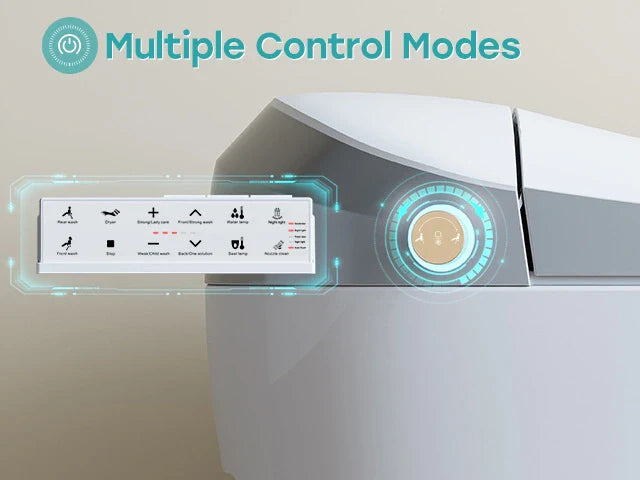 ADA-Compliant Toilet: HOROW T20YA Toilet with Bidet Toilet Seat for 12-Inch Rough-In