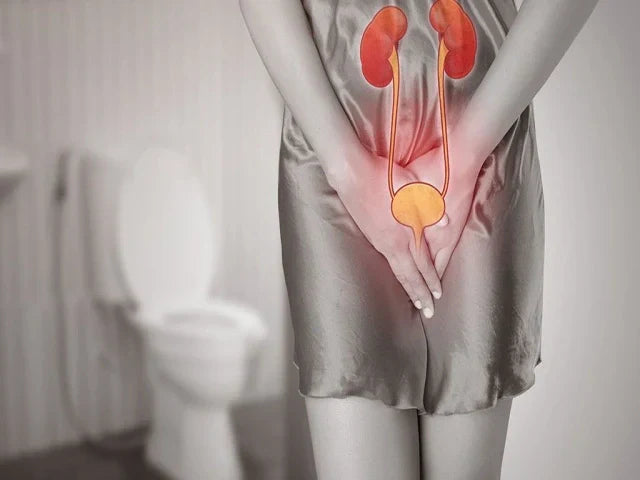 Can a Bidet Cause a UTI? Myths & Facts Explained