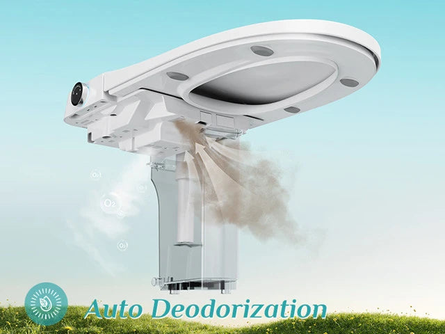 Enhance Your Bathroom with the HOROW 10-Inch Rough-In Toilet and Bidet Model T37