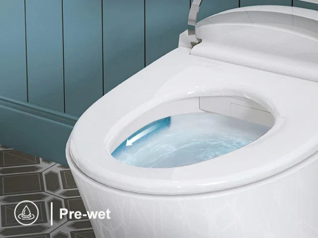 Best Tankless Toilet? HOROW T15A with Cold Water Wash Explained