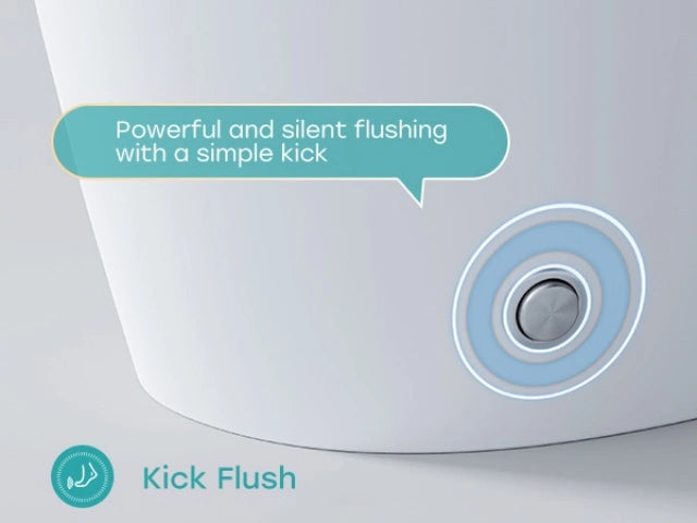 HOROW T30: Bidet Toilet with Air Pressure Assistance for Low Water Pressure