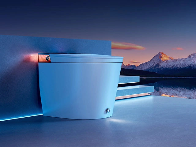 HOROW Toilets: The Difference Between Single and Dual Flush Toilets