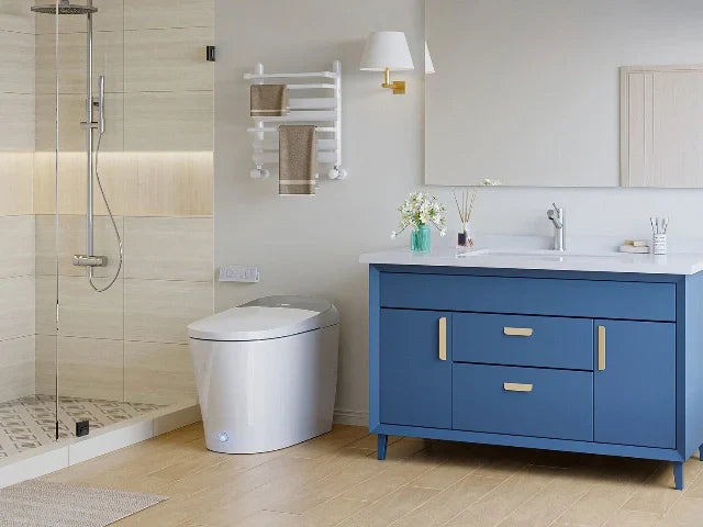 How Long Does It Take to Install an Intelligent Toilet?