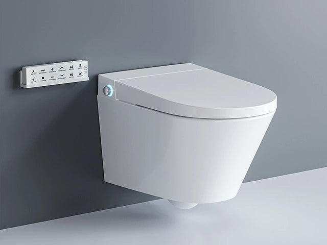 Standard vs. Wall-Mounted Toilets: Which One To Choose?