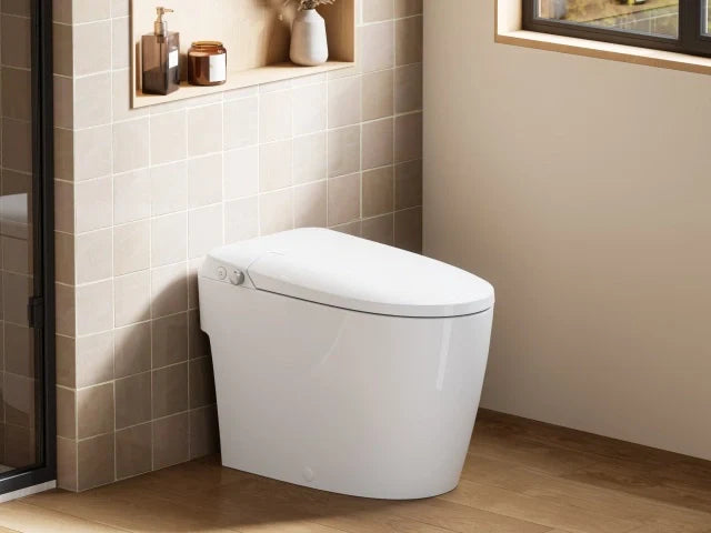 HOROW T30 Pressure Assist Toilet with Non-Electric Bidet Seat Review