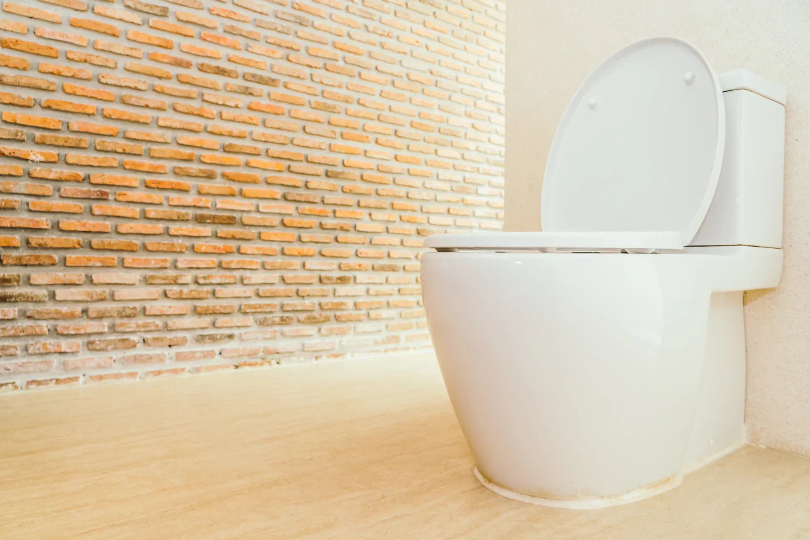 White ceramic one-piece toilet in a minimalist bathroom, combining sleek design with practical, easy-to-clean functionality.