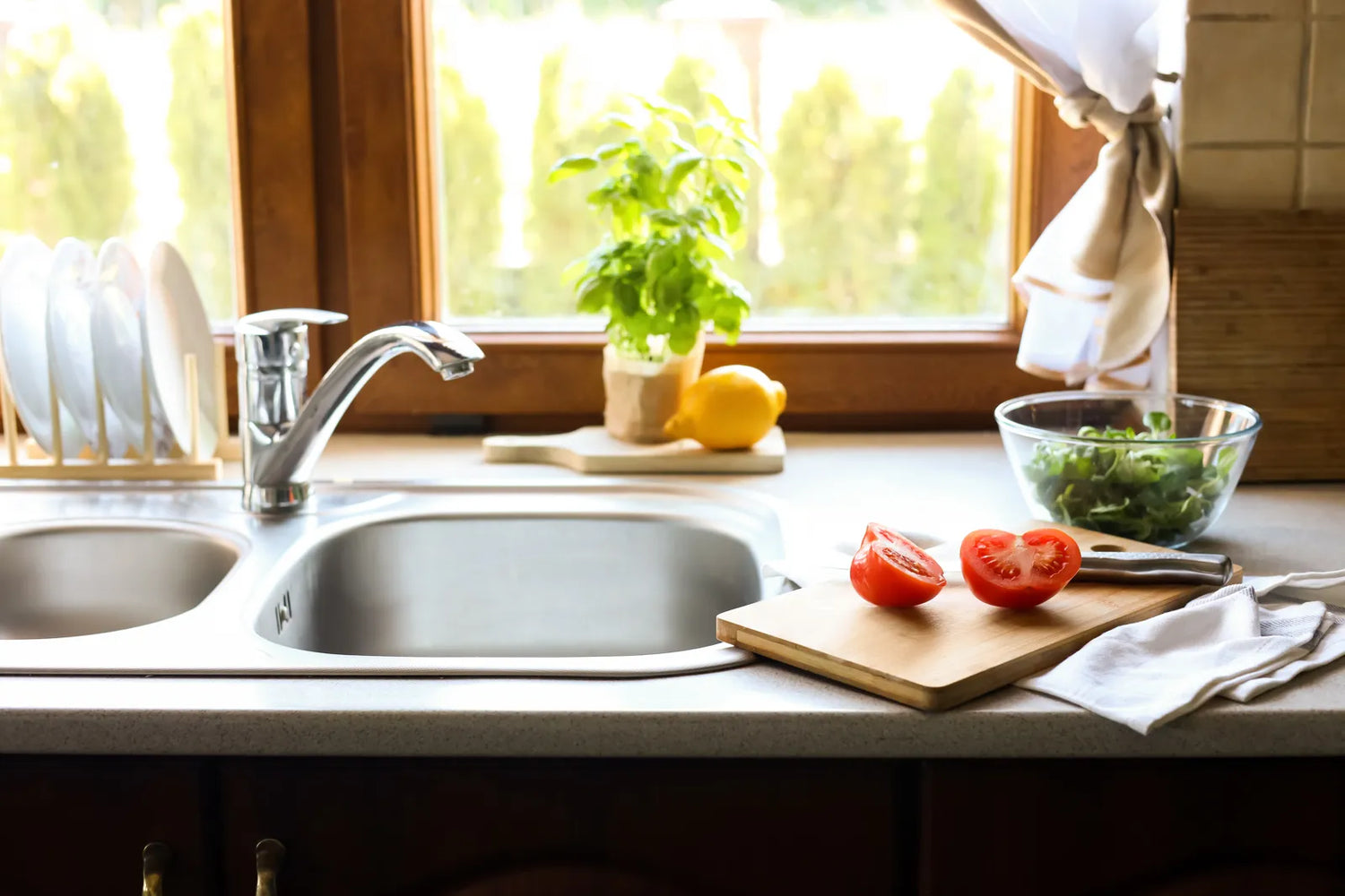 A double bowl kitchen sink sits ready for everyday home kitchen food prep tasks.