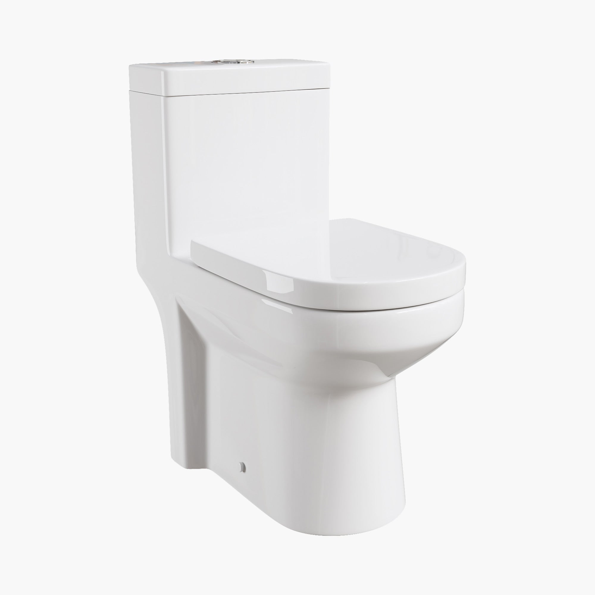 HOROW 12 Inch Rough In Toilet Dual Flash One Piece Elongated Toilet Model 8733S