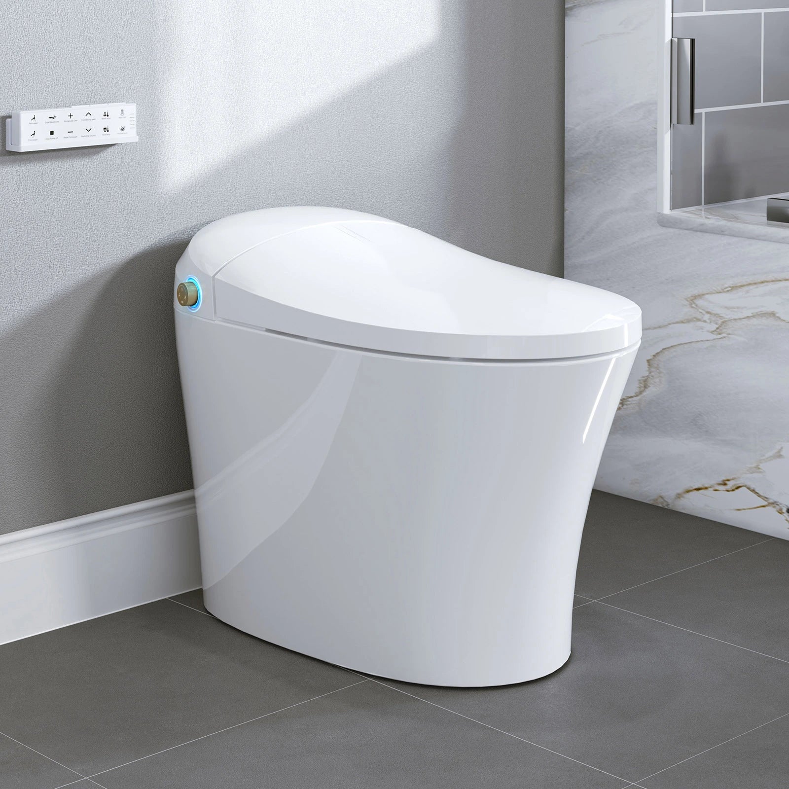 HOROW Best Bidet Toilet Automatic Flush Toilet Model T20