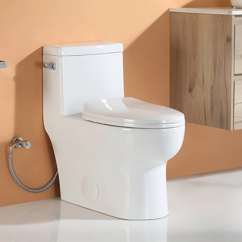 HOROW Comfort Height Elongated Toilet Single Flush 1 Piece Toilet Model ST076W