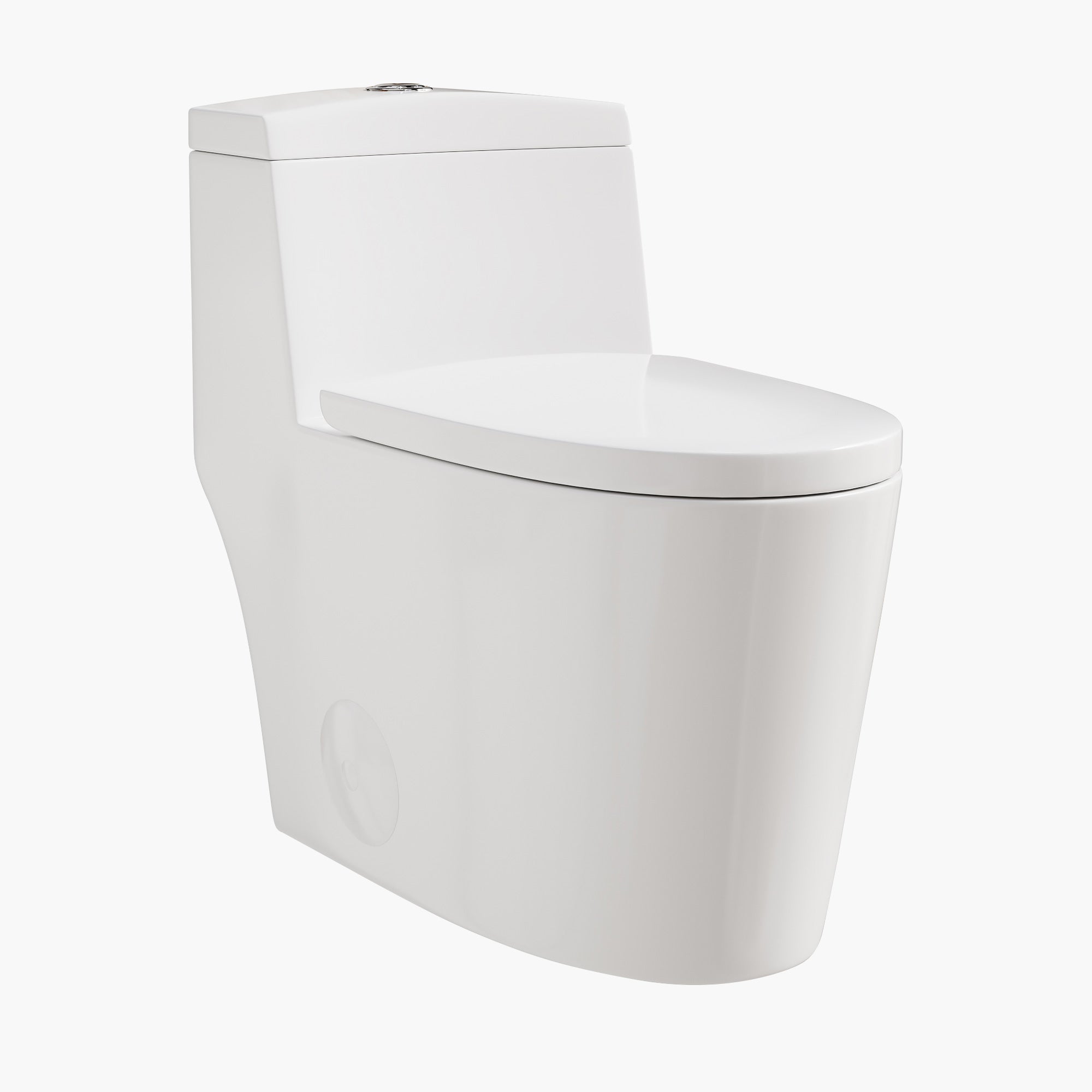 HOROW Compact Elongated Toilet One Piece Dual Flush 1.1 OR 1.6 GPF Toilet Model T0280W