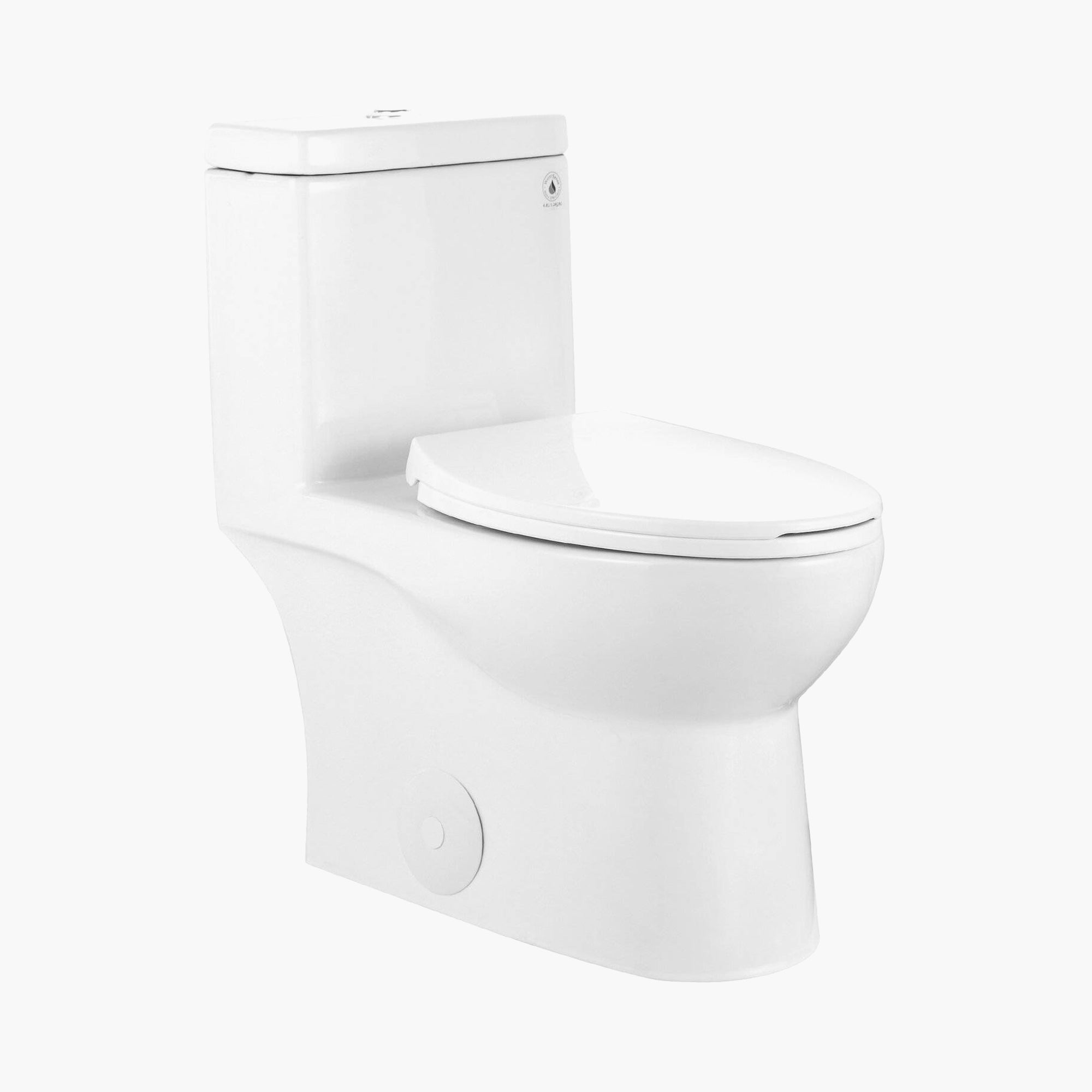 HOROW 12 Inch Rough In Toilet Dual Flush Elongated One Piece Toilet Model T0337W