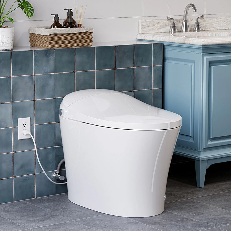 HOROW One Piece Smart Tankless Toilet With Heating Seat Model T10