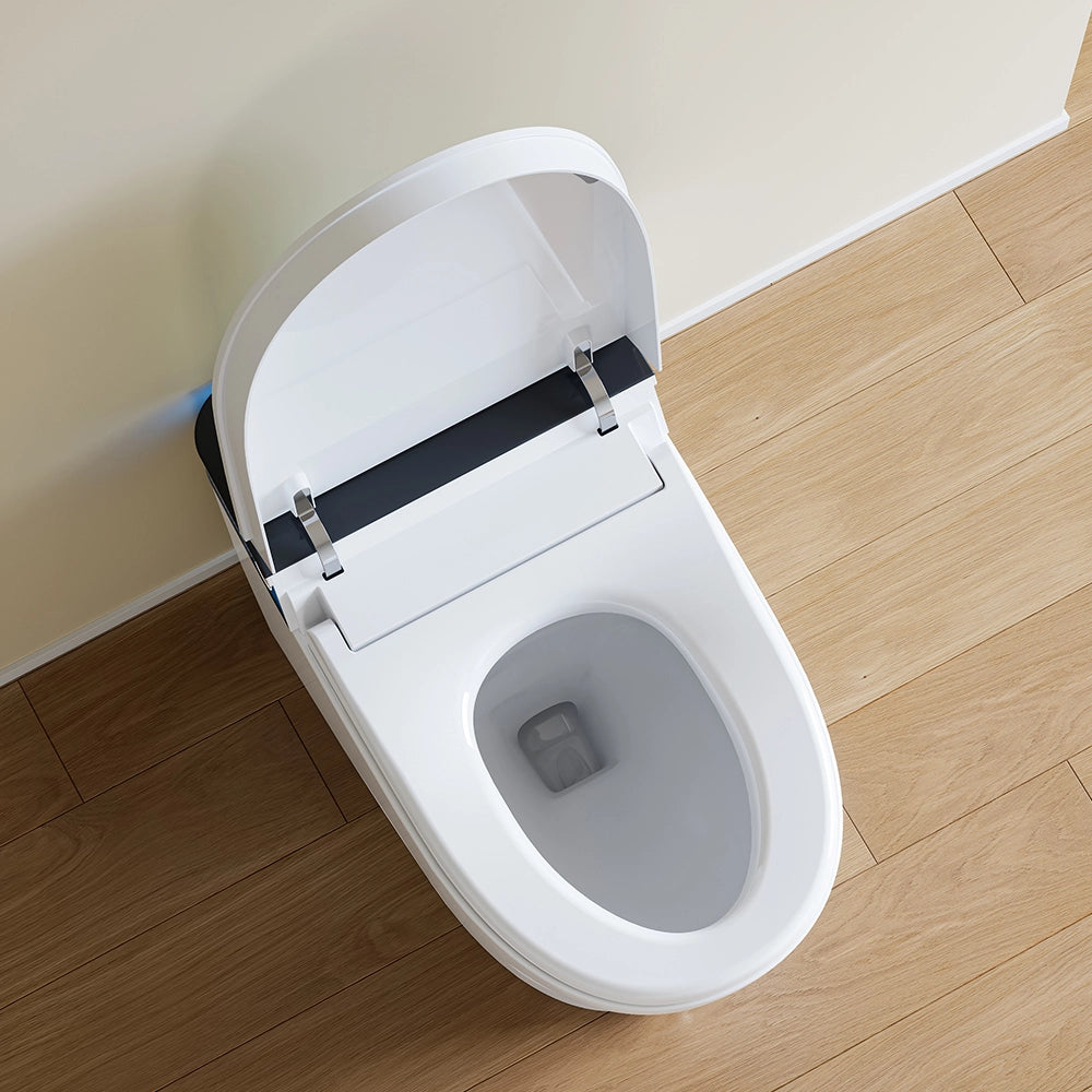 Bidet Toilet with Handle Flush and Dryer System for 12 Inch Rough In Model T38D