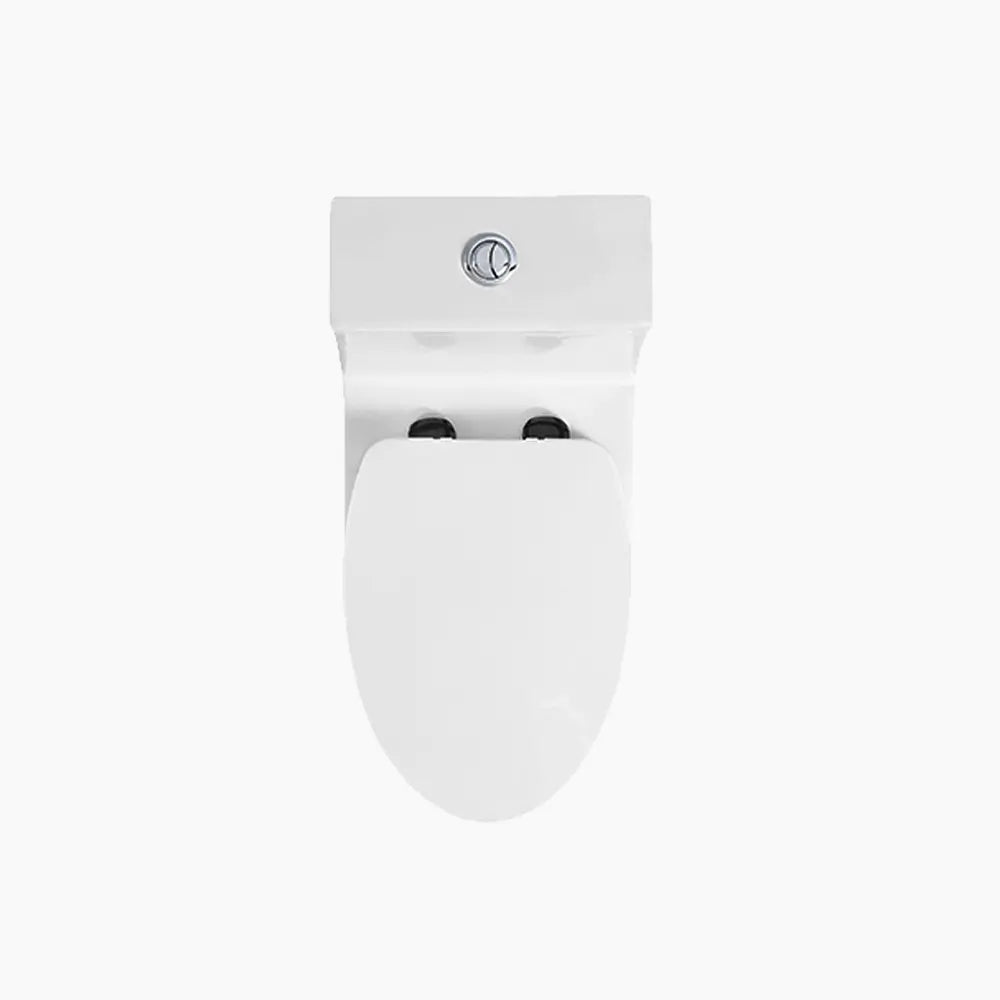 HOROW Best Floor Mounted Elongated Seat One Piece Toilet Model HWMT138