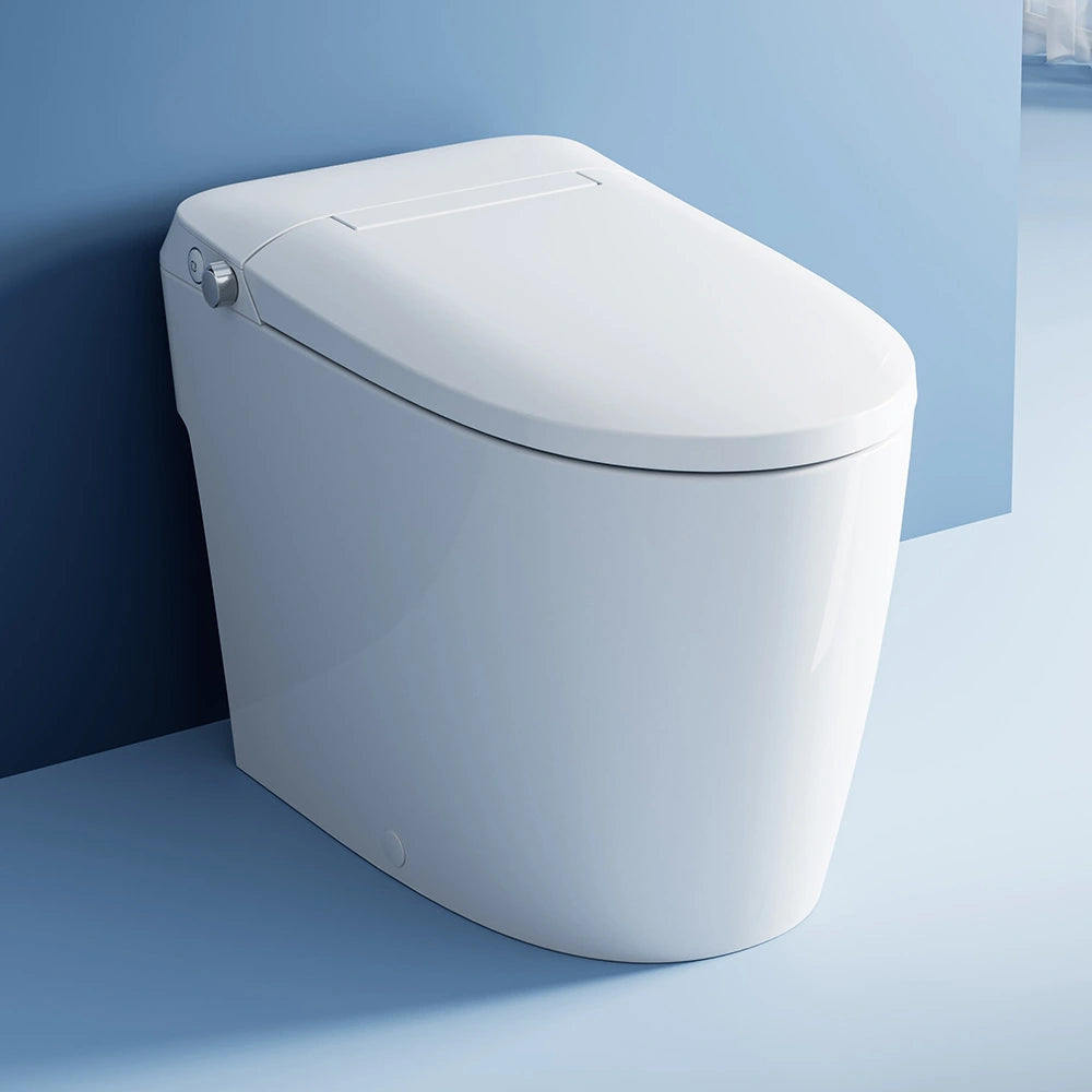 Bidet Toilet with Non electric Seat for 12 Inch Rough in Model T30