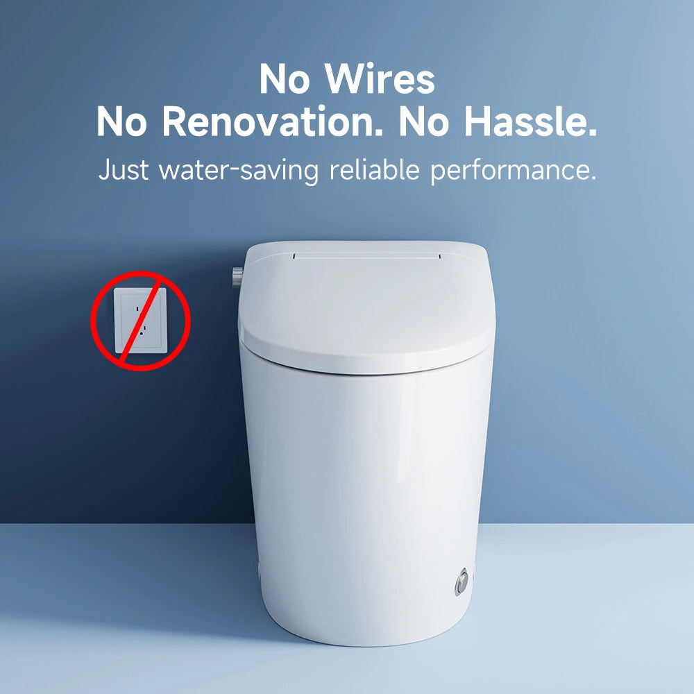 Bidet Toilet with Non electric Seat for 12 Inch Rough in Model T30