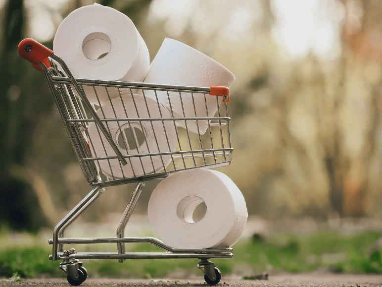 Exploring the Origins: When was Toilet Paper Invented