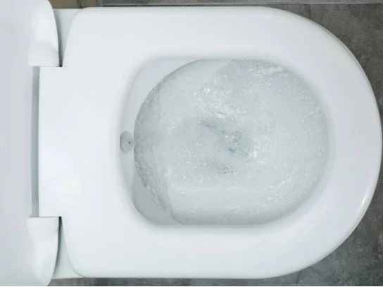 toilet water level low