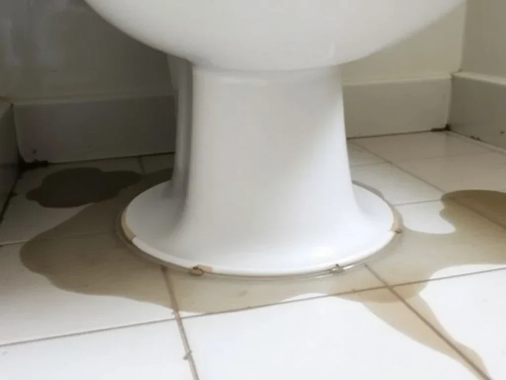 why is my toilet leaking from the bottom