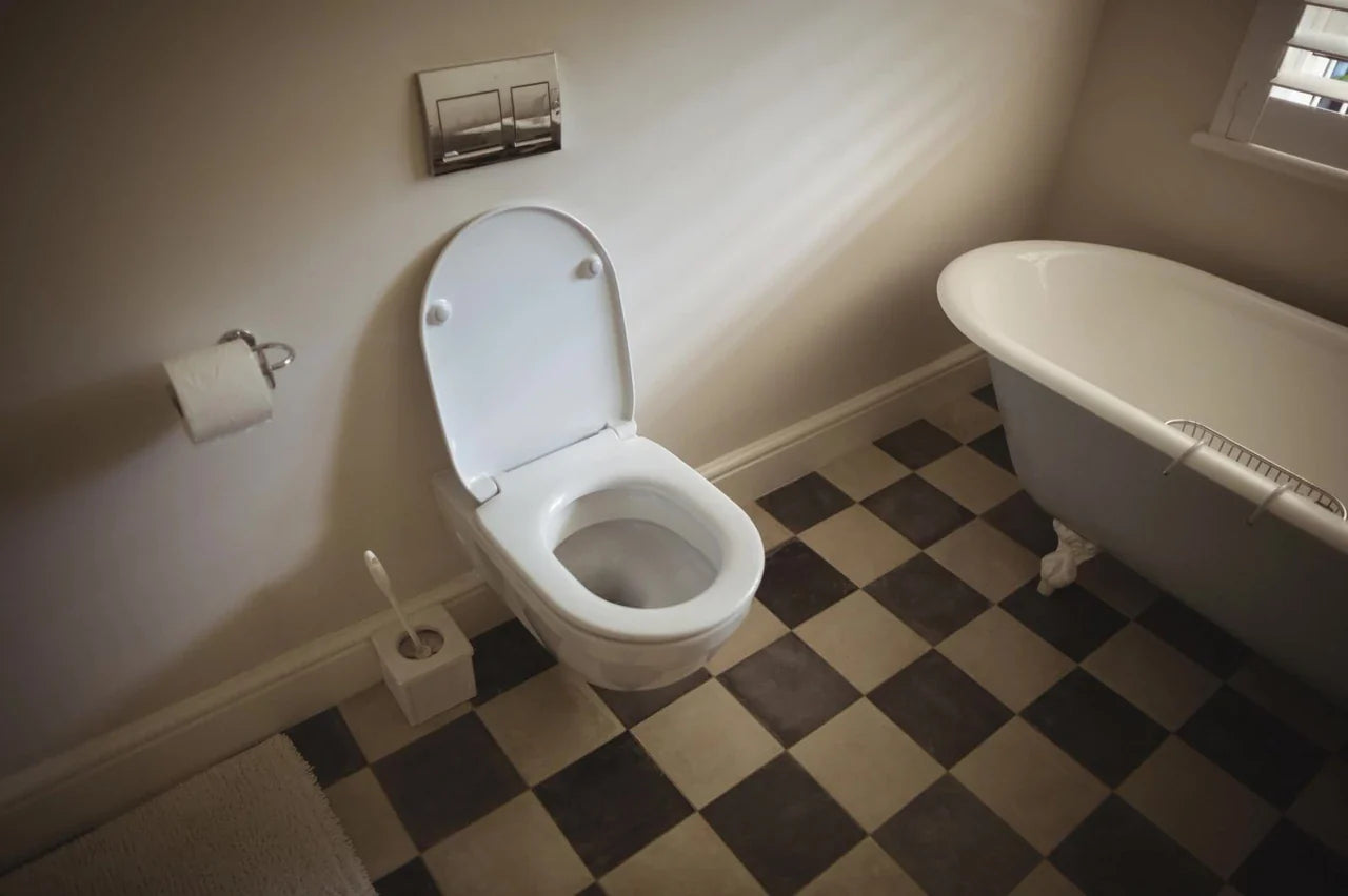 Wall-mounted toilet and clawfoot tub in a sunlit vintage-style bathroom corner.