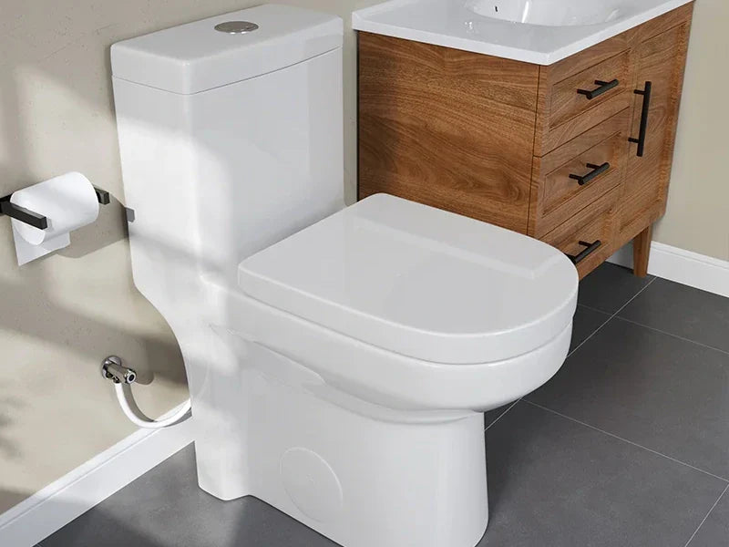 what is a dual flush toilet