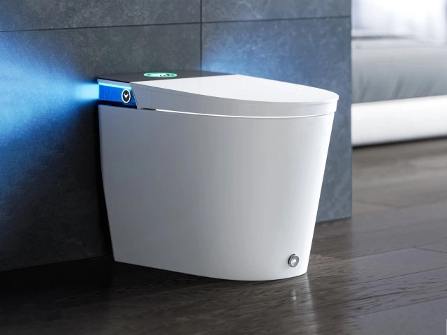 ADA Toilet HOROW T38P: The Plus Version of HOROW T38 Toilet