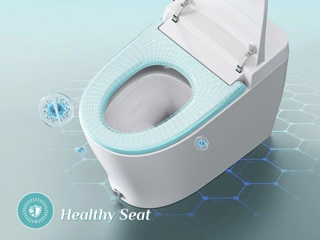Best Bidet Toilet Combo: HOROW T05 Toilet with Tank for 12 Inch Rough In