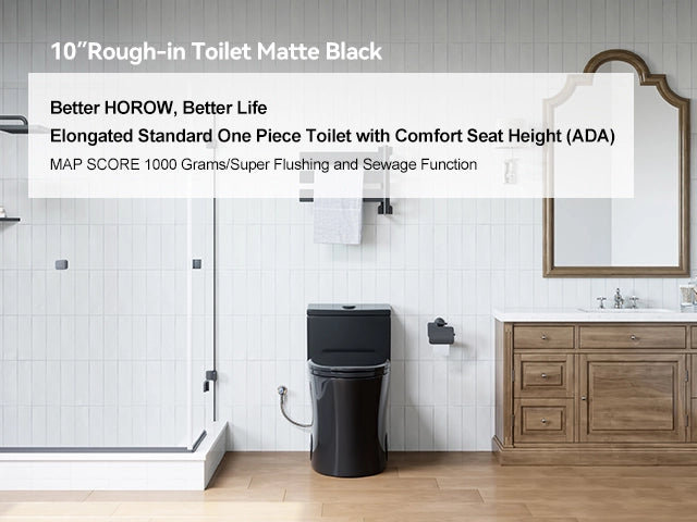 Black Toilet with Dual Flush and ADA Compliance for 10-Inch Rough-In