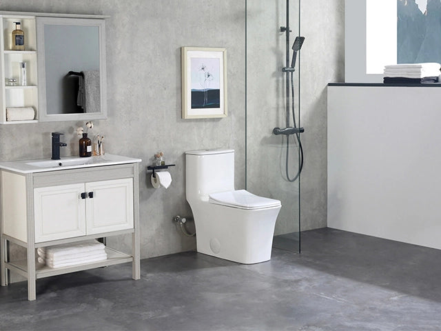 Elevate Your Bathroom Experience with a One-Piece Skirted Toilet