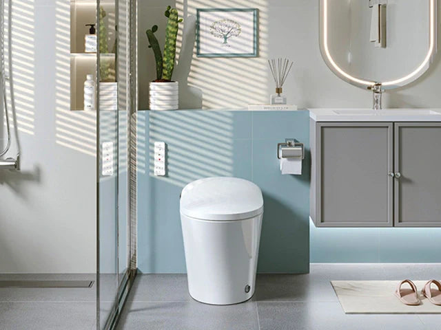 Smart Toilets 2025: HOROW T16 with Remote Control & Dual Flush