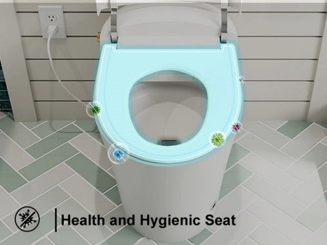 HOROW T20Y: The Modern Bidet Toilet with ADA Compliance for 12-Inch Rough-In