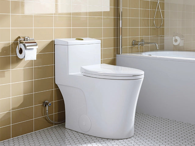 Flushed with Savings: HOROW Toilet Reviews for Budget-conscious Buyers
