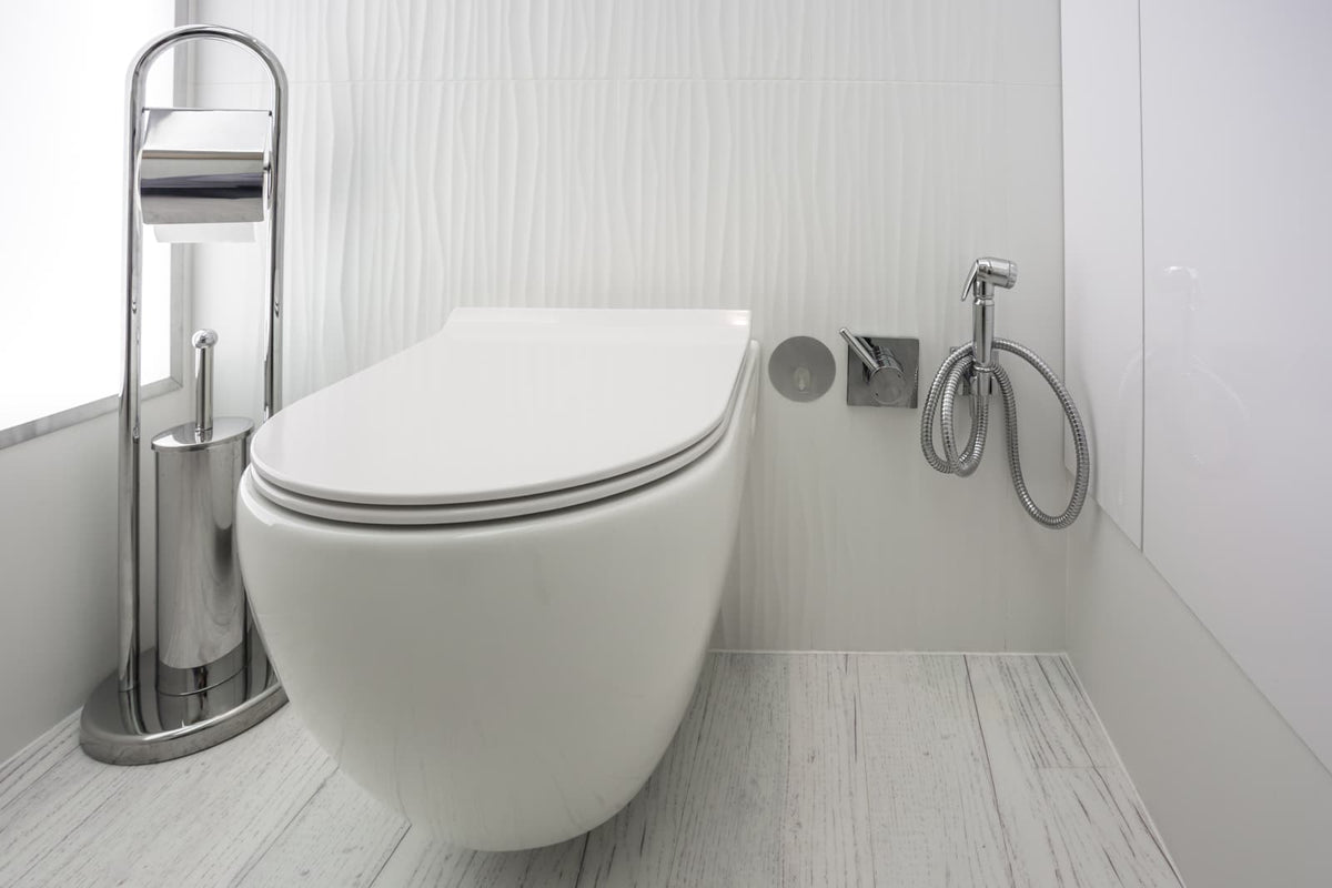 Bidet toilet installed in a naturally lit residential bathroom