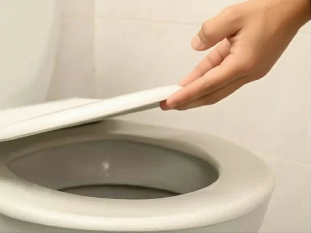  toilet seat sizes