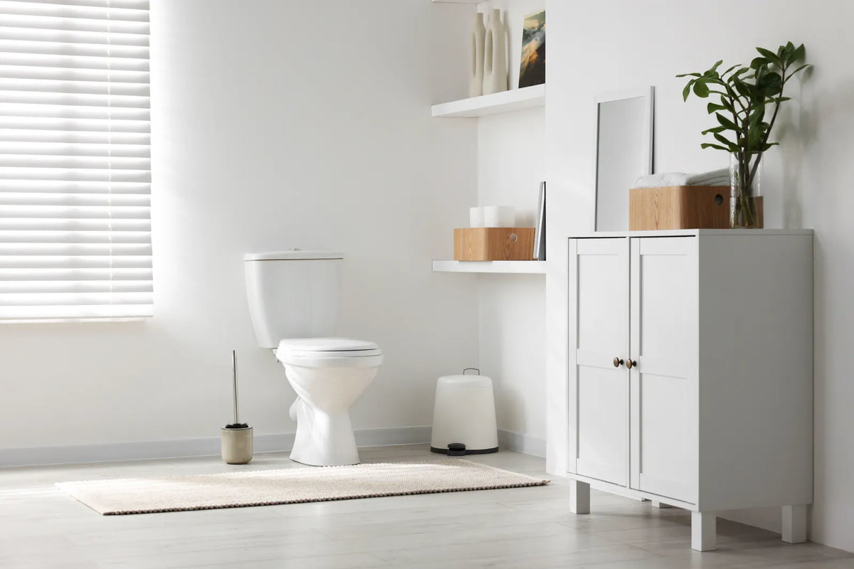 Bright, minimalist white bathroom with a standard toilet, natural light, and modern decor.