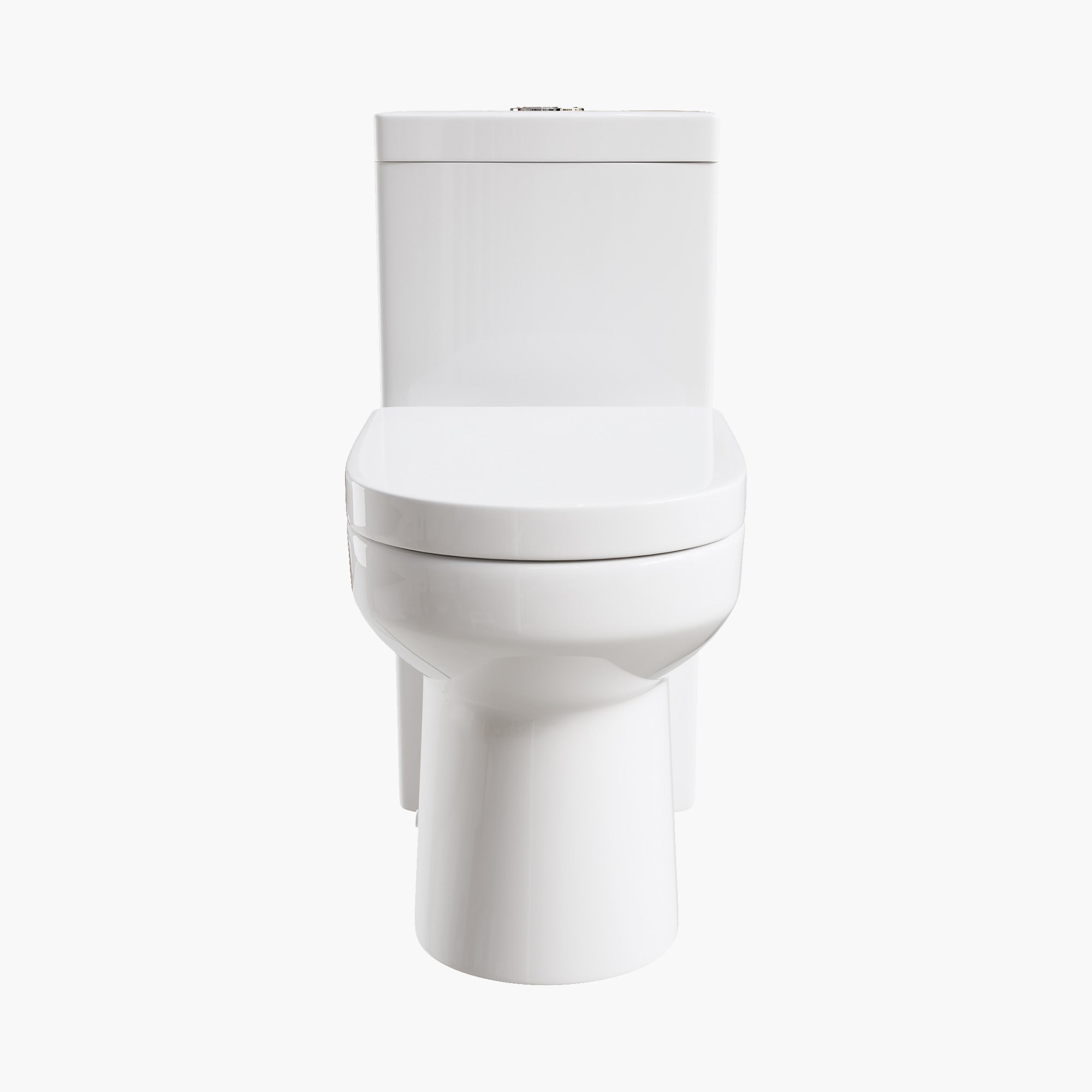 HOROW 12 Inch Rough In Toilet Dual Flash One Piece Elongated Toilet Model 8733S