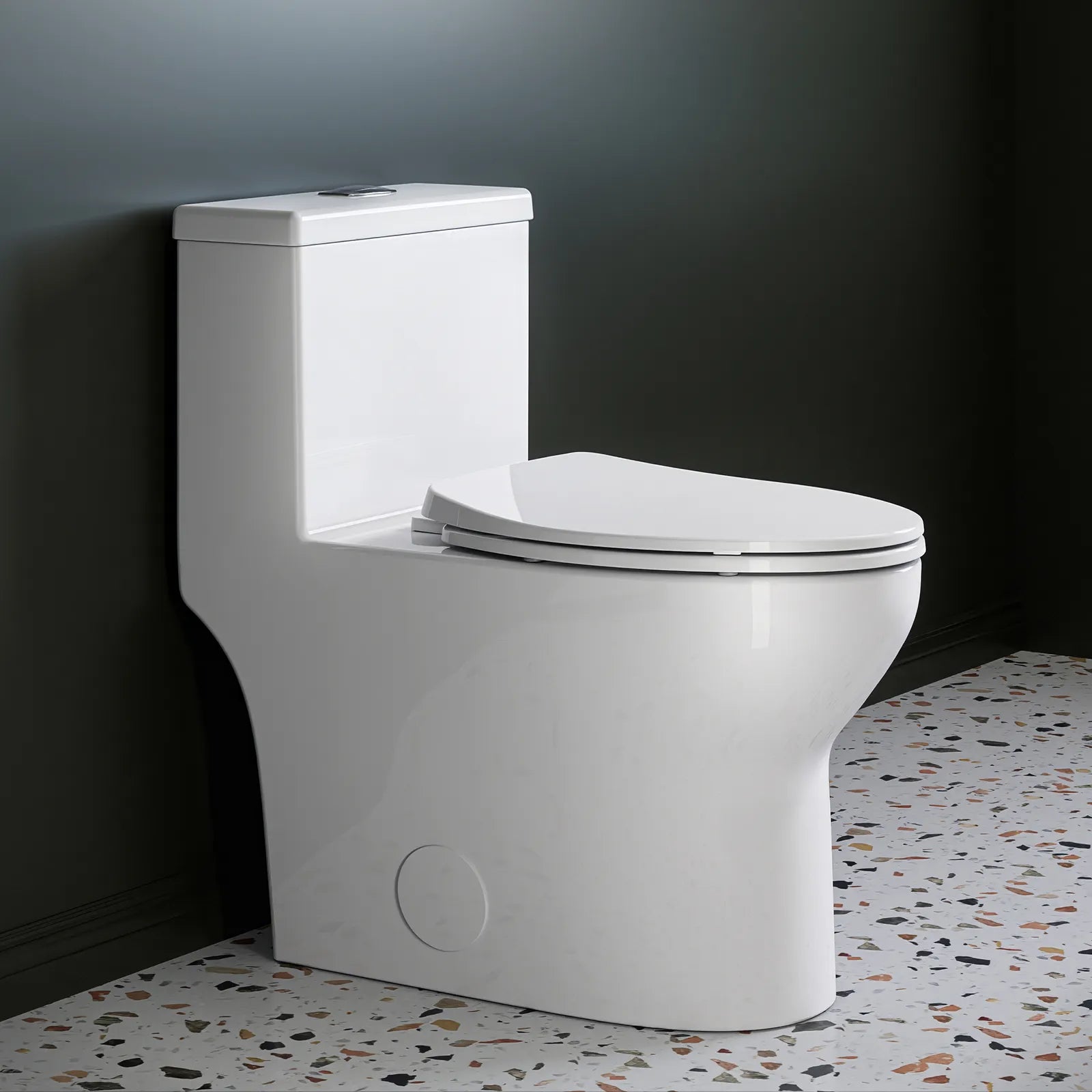 HOROW One Piece Toilet ADA Toilet Height 17.3 Inch Model T0350W