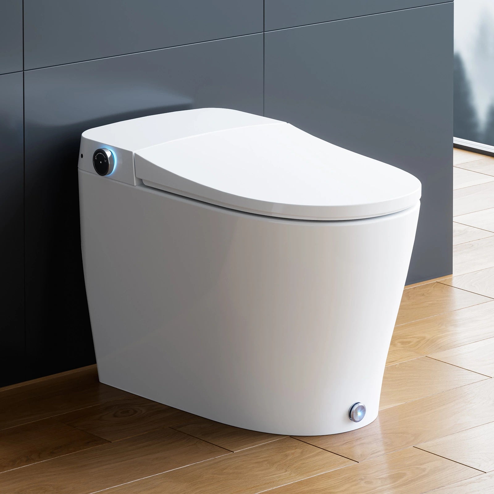 HOROW Best Bidet Toilet Combo Heated Toilet Seat Elongated Model T05