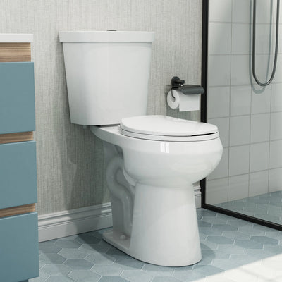 HOROW HWTT-R03D ADA Toilet