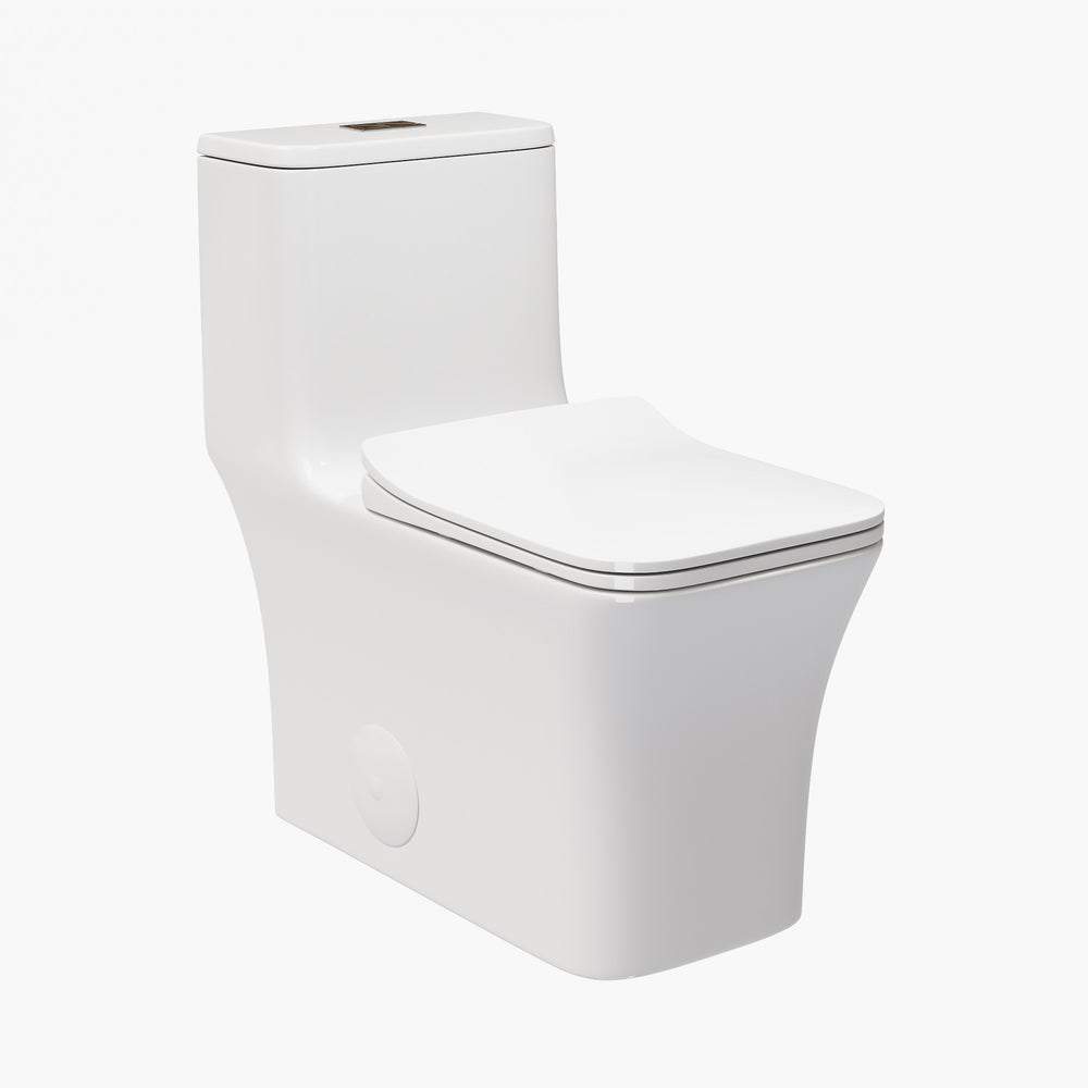 HOROW Best Water Efficient Toilet Elongated One Piece Toilet