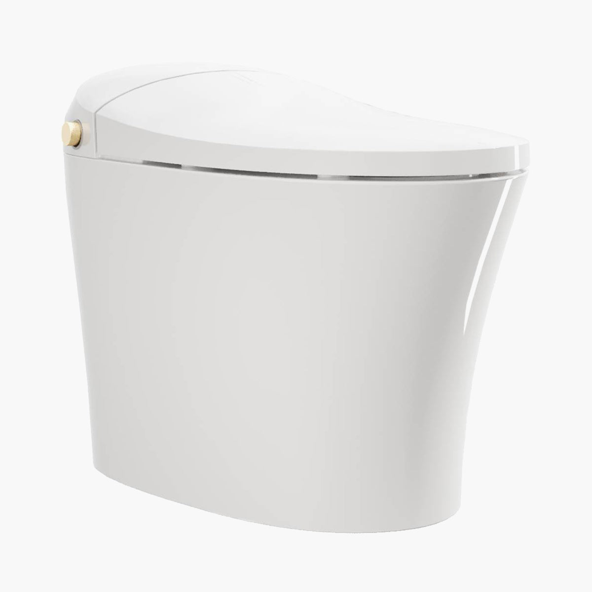 HOROW Best Bidet Toilet Automatic Flush Toilet Model T20