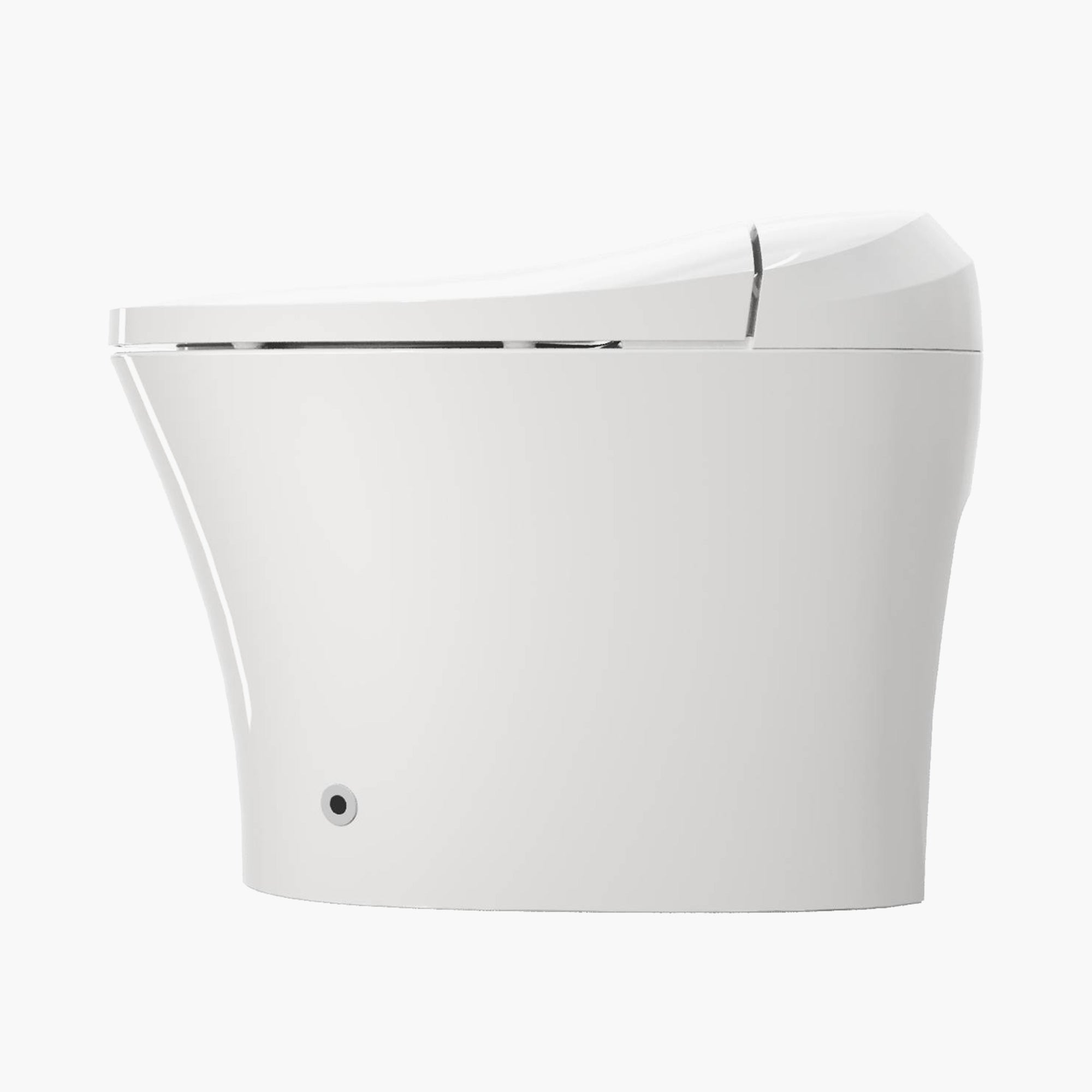 HOROW Best Bidet Toilet Automatic Flush Toilet Model T20