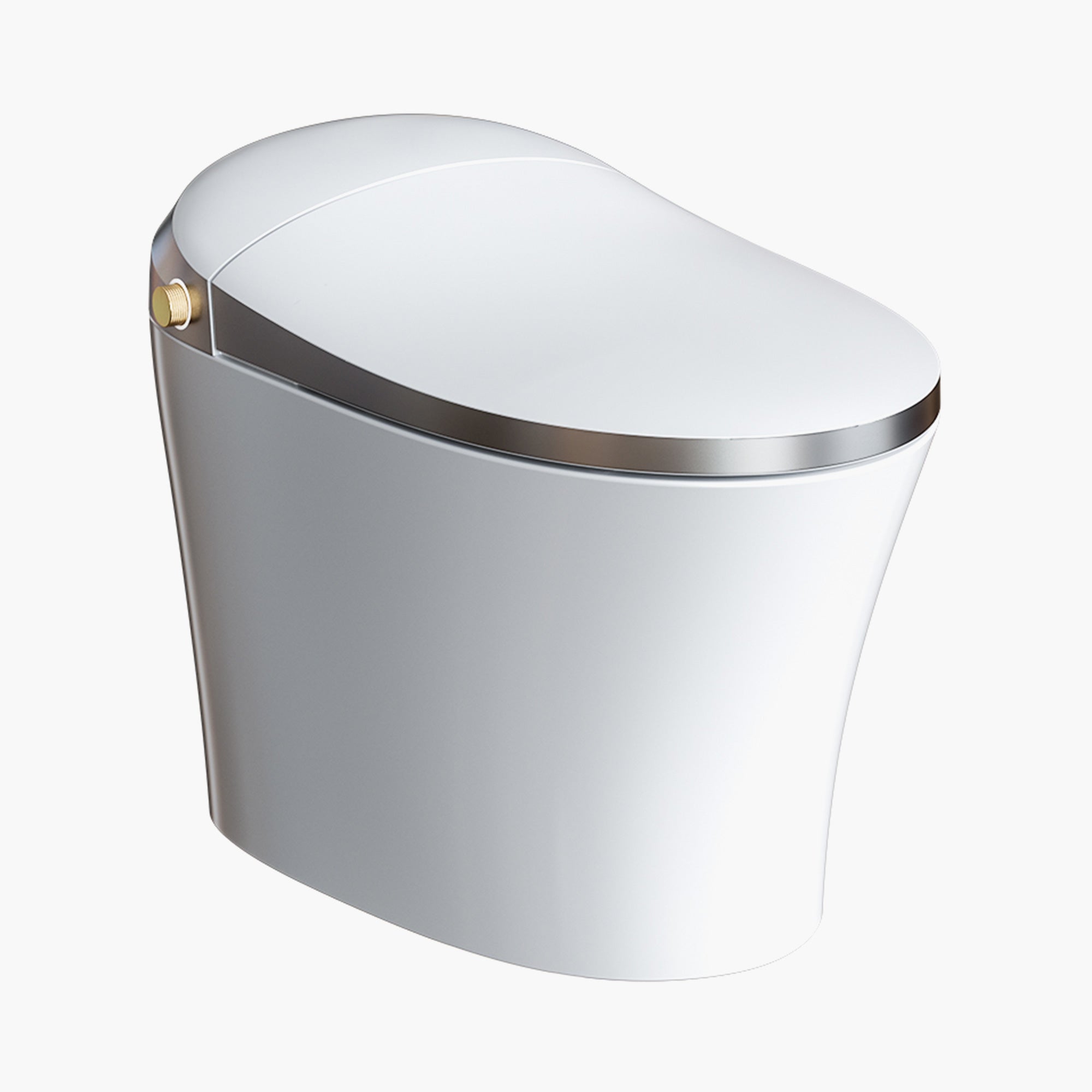 HOROW Best Smart Toilet Warm Water Bidet Toilet Model T20Y