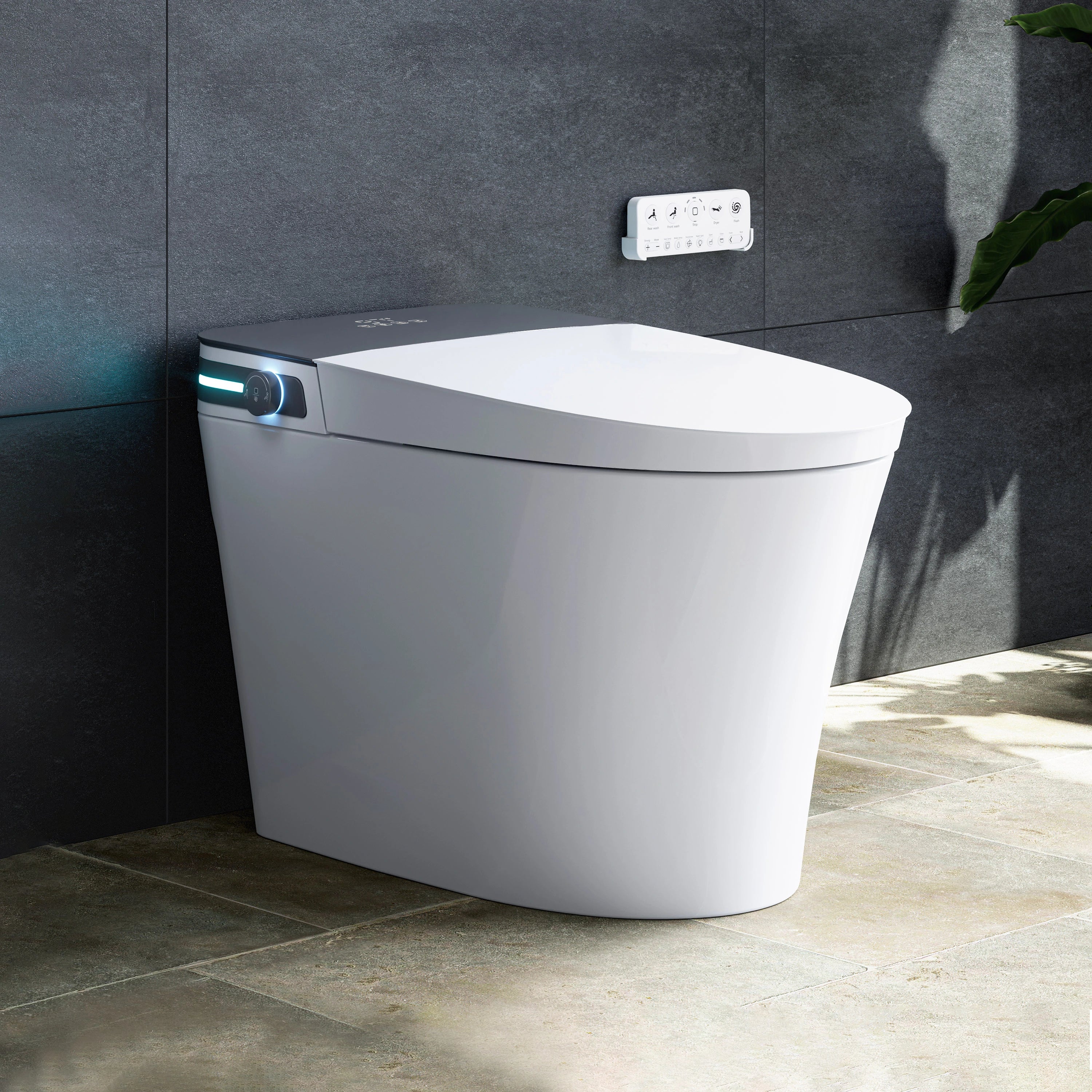 10 Inch Rough In Toilet with Bidet and Dryer for Power Outage Model T37D
