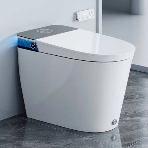 T38P Toilet