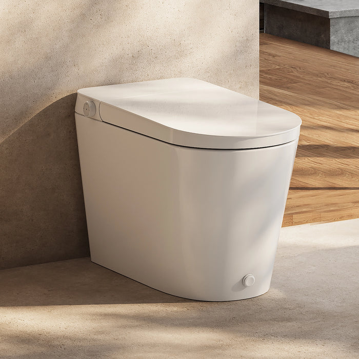 HOROW N30 tankless bidet toilet