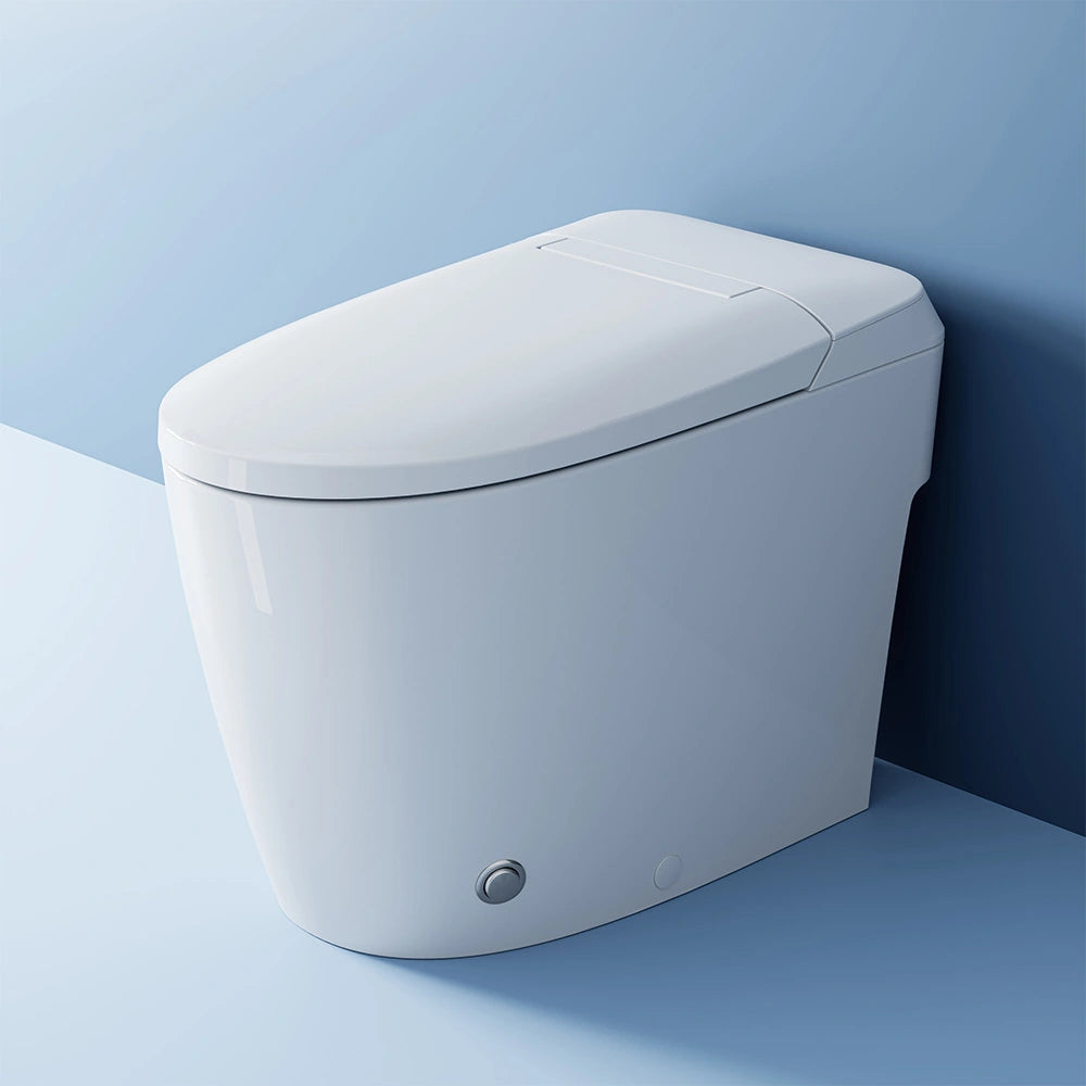 Bidet Toilet with Non electric Seat for 12 Inch Rough in Model T30
